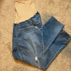 Branch + Twig Maternity Jeans with Beige Stretch Waistband